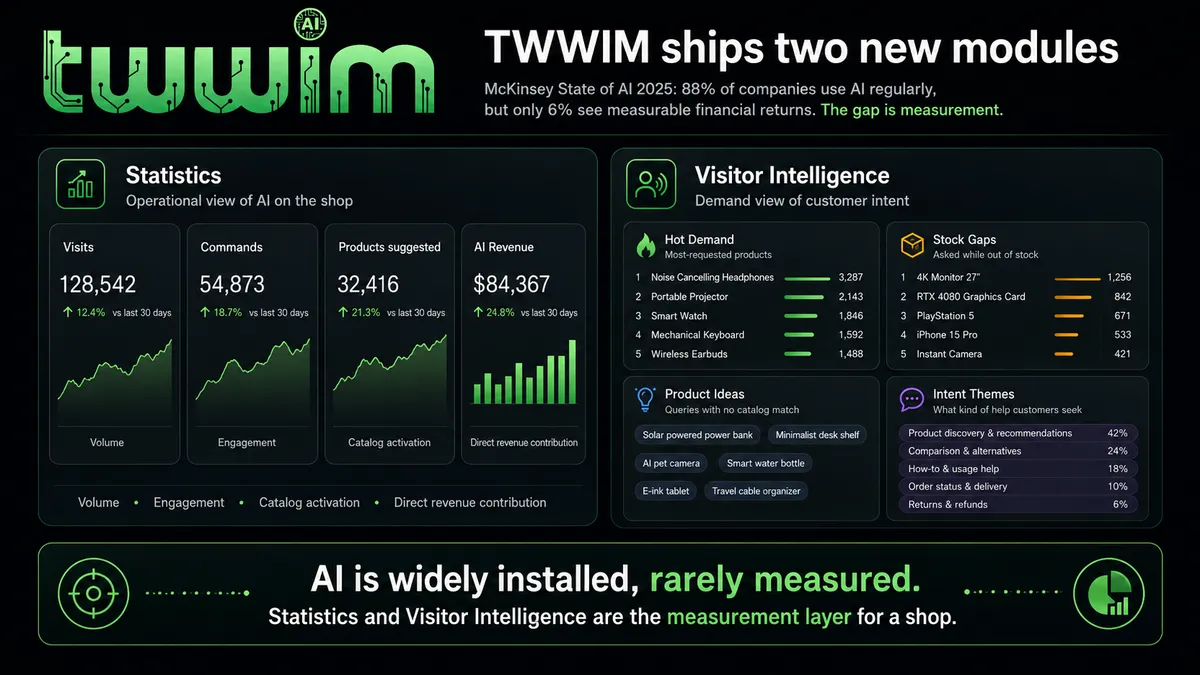 What your shop AI actually does: Statistics and Visitor Intelligence
